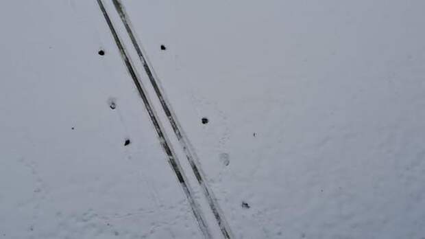 Лыжница из Ленобласти завоевала два золота на первенстве России