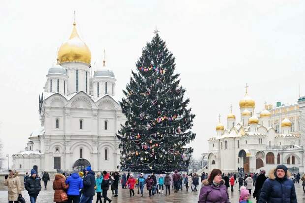 Как новогодняя елка прижилась в России