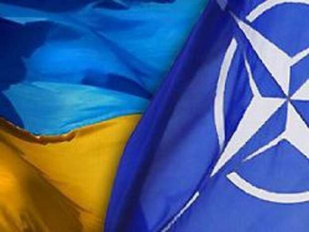 Украина примет участие в саммите НАТО Украина примет участие в саммите НАТО