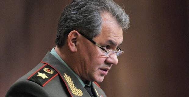шойгу-600x340
