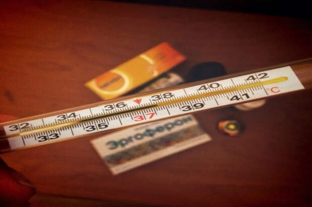 Роспотребнадзор предупредил о всплеске геморрагической лихорадки весной