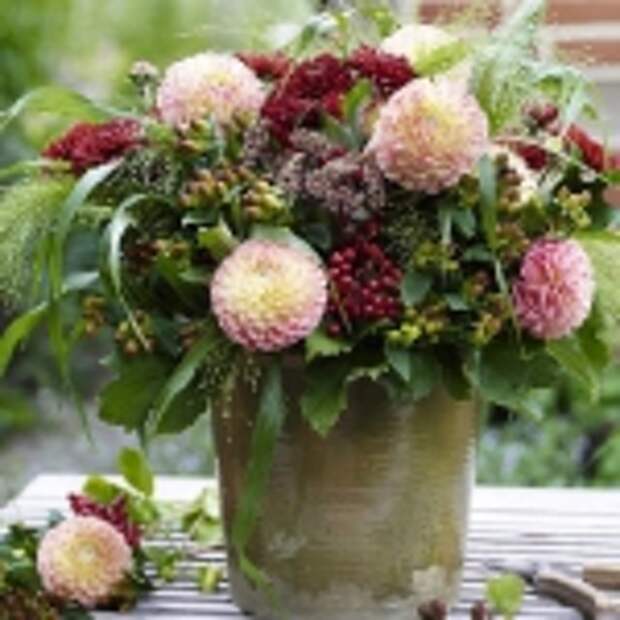 delightful-dahlias-creative-arrangements1-4.jpg