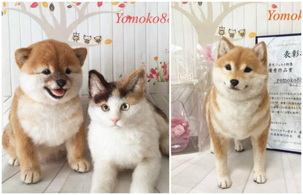 Yomoko888-real-animals-novate1 (700x450, 219Kb)