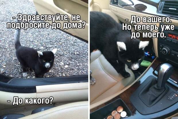 www.vsyako.net