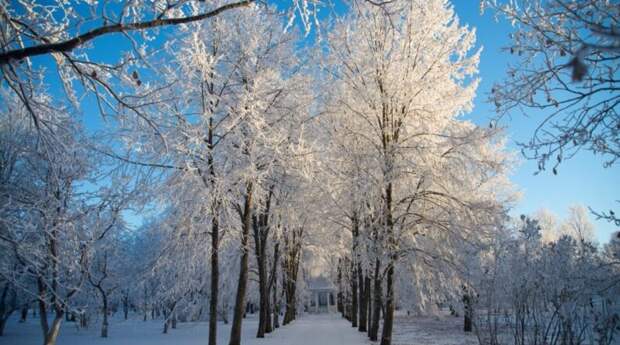 В «Тарханах» восстановят Дальний сад Лермонтова