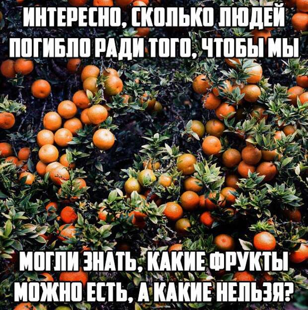 oixEqCErLBA