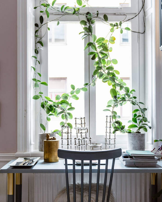 www.nadjaendler.se