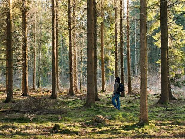 Фотография: 23 неизвестных факта о нашем мире, которые заставят вас задуматься №5 - BigPicture.ru