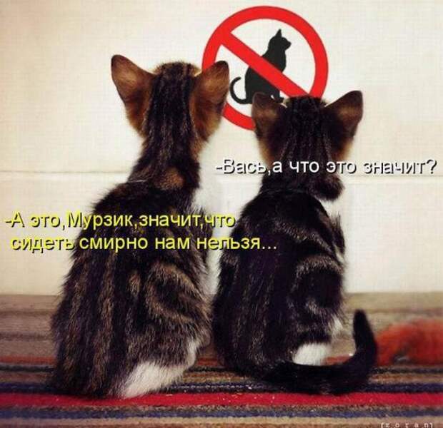 Продолжаем подготовку к Новому Году.