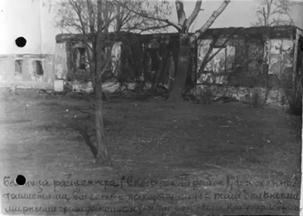 За что сражался «Туркестанский легион»? Часть II