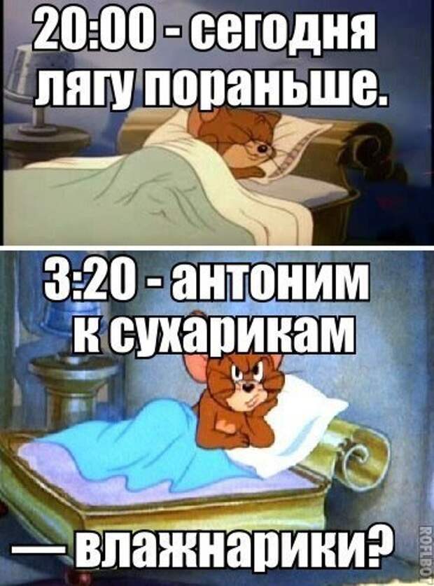 Новые фотомемы с приколами (26 шт)