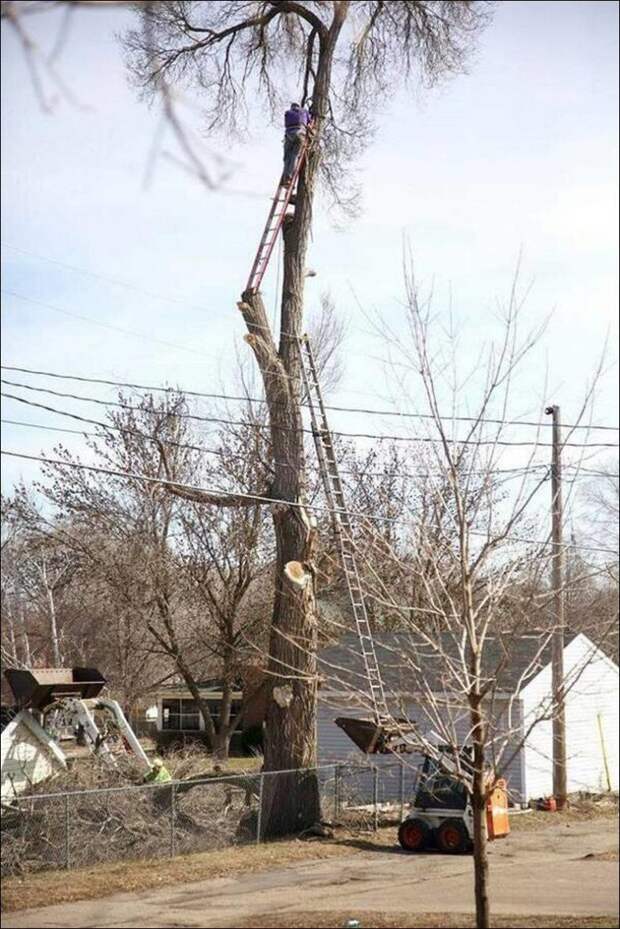 Бесстрашие и бессмысленность