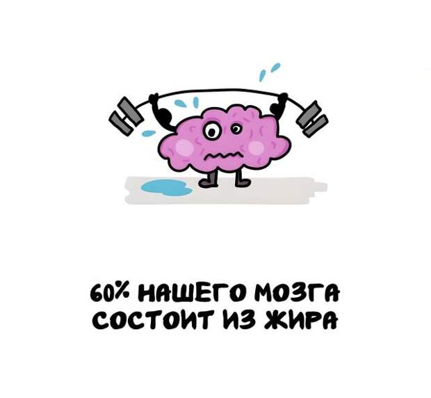 Интересные факты на все случаи жизни