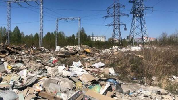 Барнаульцы нашли в лесу холодильник с размороженной рыбой