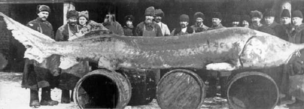 Самые интересные факты о Каспийском море