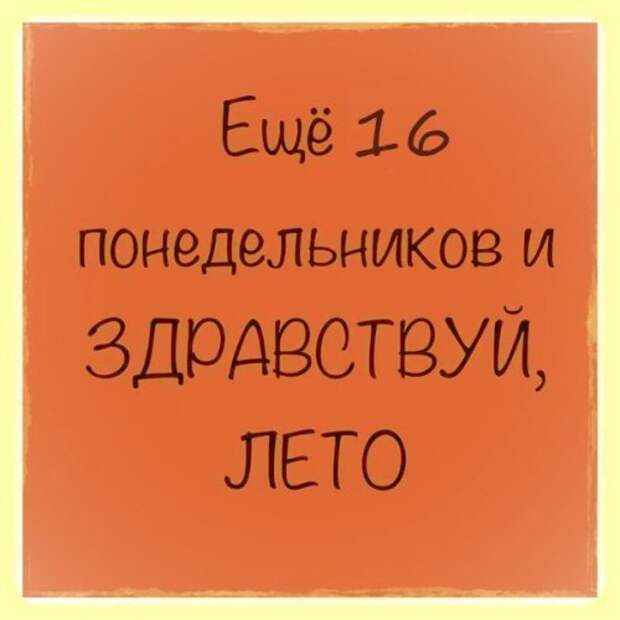 Прикольные картинки выходного дня (74 шт)