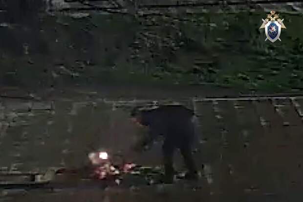 В Пермском крае будут судить юношу, который сжег цветы в Вечном огне