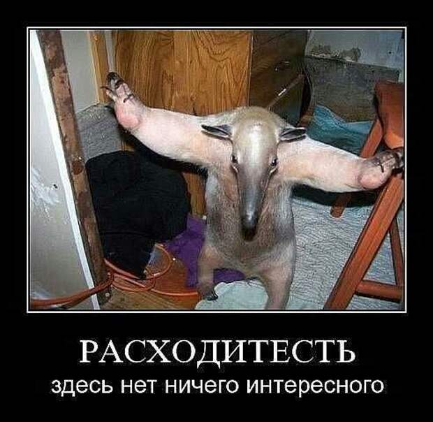 Минутка юмора (ч.7) sZreQntHad0 Минутка юмора