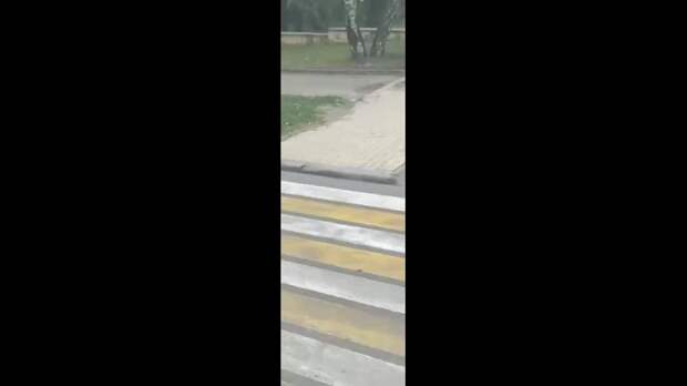 Video: Клип @donetskdnr_vk
