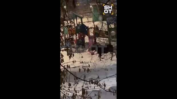 Два огромных лося выбрались за пропитанием к людям на востоке Москвы.