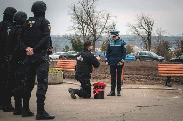 Подборка прикольных картинок