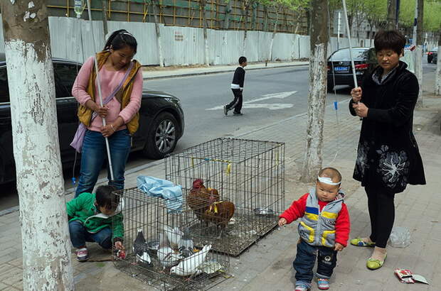 Уличная фотография Tao Liu Уличная фотография Tao Liu
