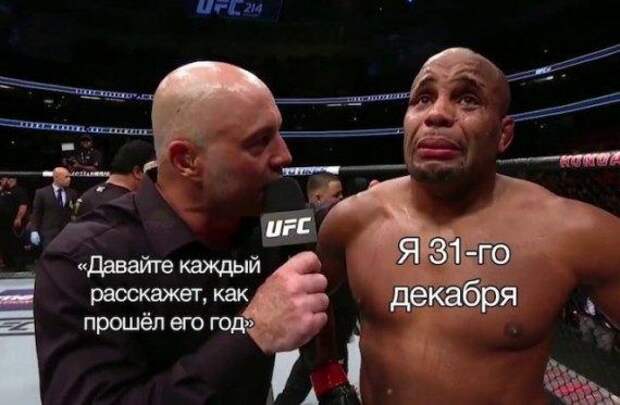 Весёлые картинки этого дня
