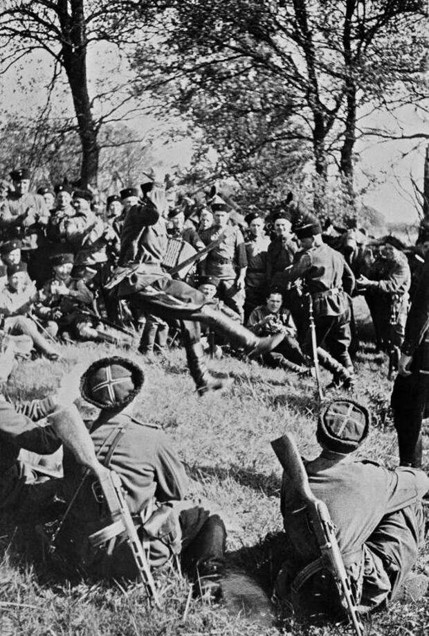 Сражение за Зееловские высоты. Как Красная Армия прорывалась к Берлину