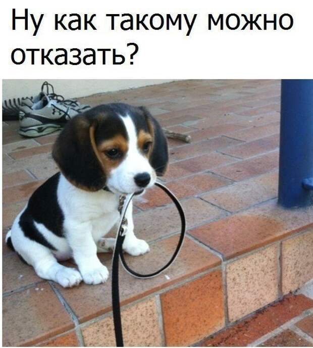 Позитивные и смешные картинки с надписью со смыслом (10 фото)