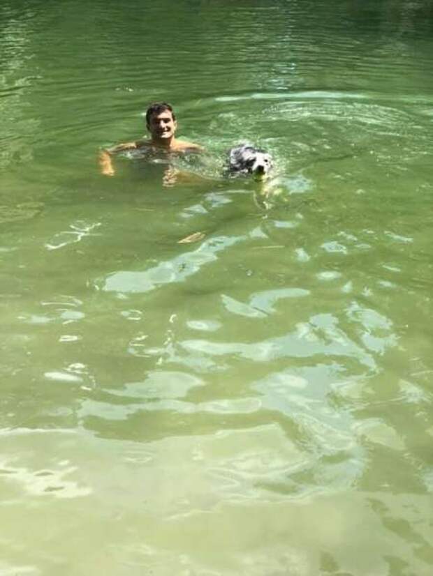 Мертвая вода: четыре собаки погибли на глазах растерянных хозяев после купания в токсичном озере