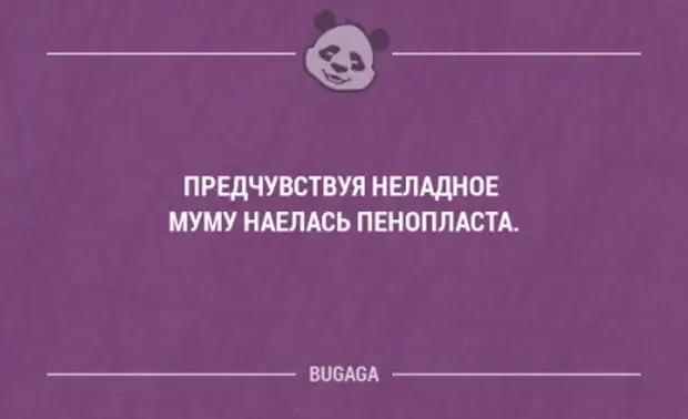 Заметила неладное. Весёлые демотиваторы для поднятия настроения. Заметила неладное. Муму фото собачки. Заметила неладное.