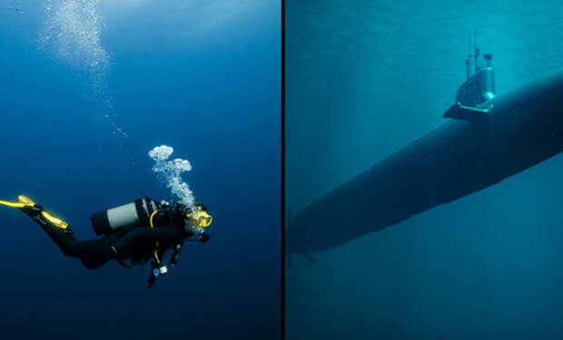 Что будет если дайвер под водой услышит сонар атомной субмарины