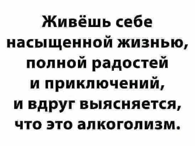 Юмор за 300: невероятные приключения алкоголиков