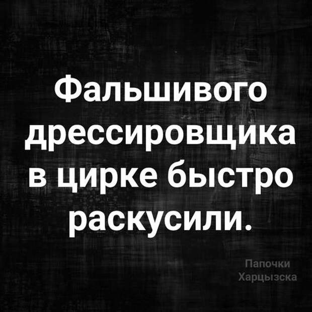 На изображении может находиться: текст «фальшивого дрессировщика в цирке быстро раскусили.»