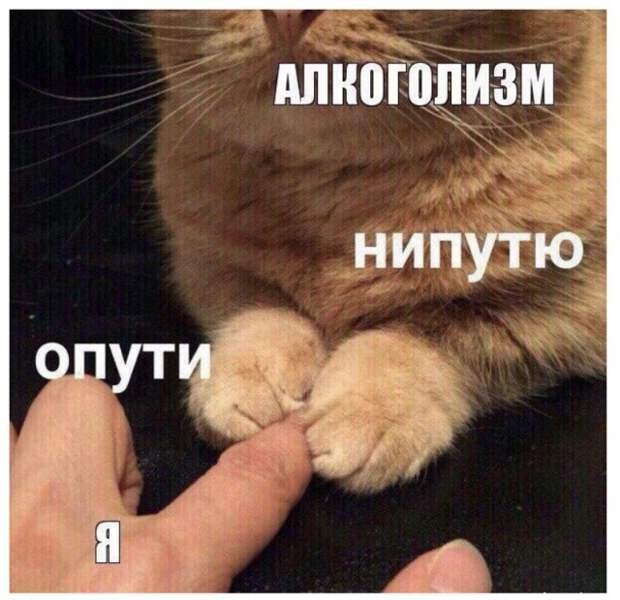 Горячие шутки о горячительном Горячие шутки о горячительном
