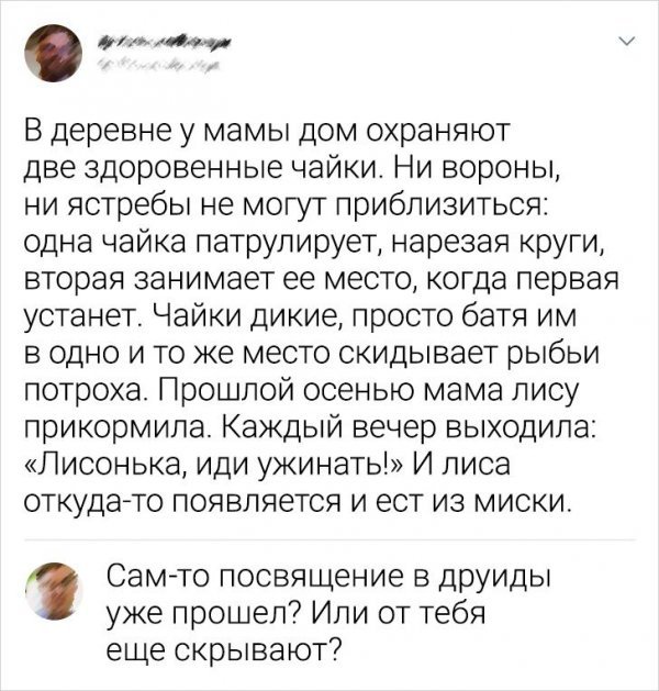 Подборка забавных комментариев с просторов Сети Подборка забавных комментариев с просторов Сети