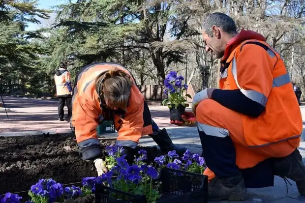 Яркие цветочные композиции появляются в Симферополе