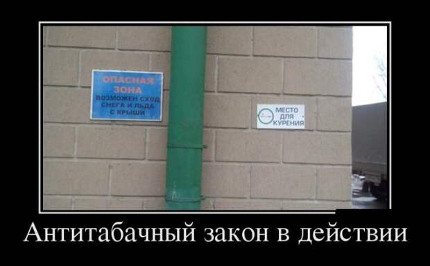 Демотиваторы