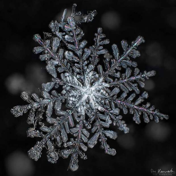 фото снежинки