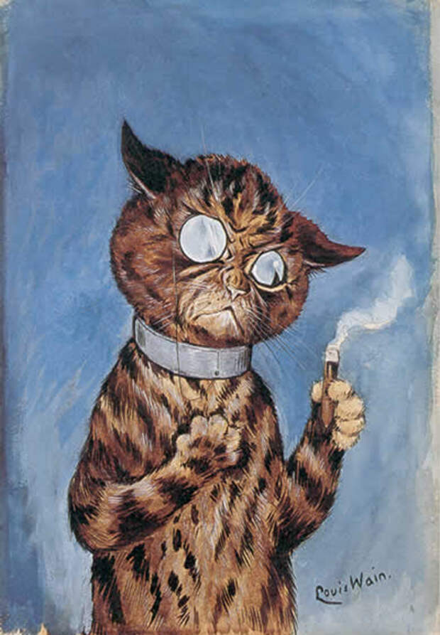 cats
