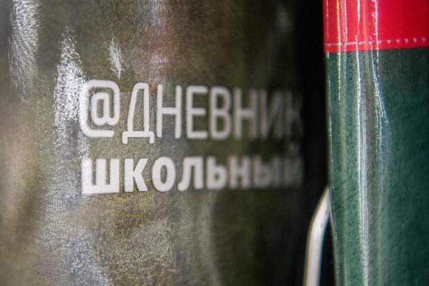 В России захотели запретить ГДЗ