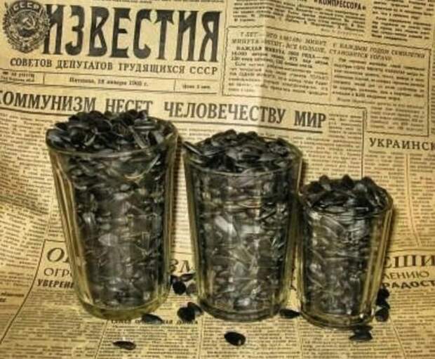 Посидим – пощелкаем: когда на Руси начали лузгать семечки