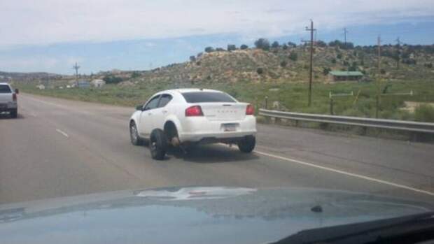 Прикольные картинки. Вечерний выпуск (53 фото)