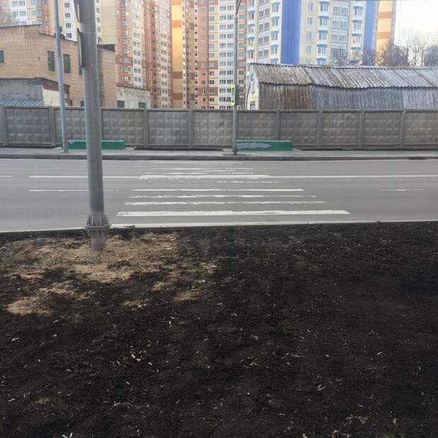Пешеходный переход в России больше похож на смертельный квест зебра, зебра в России, как перейти дорогу, пешеходные переходы, пешеходные переходы в России, пешеходный переход, прикол