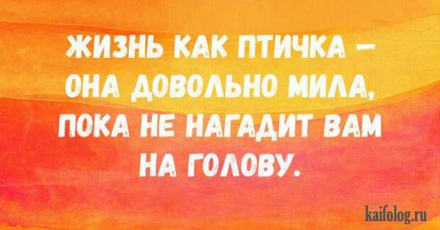 Открытки недели (45 картинок) Открытки недели (45 картинок)
