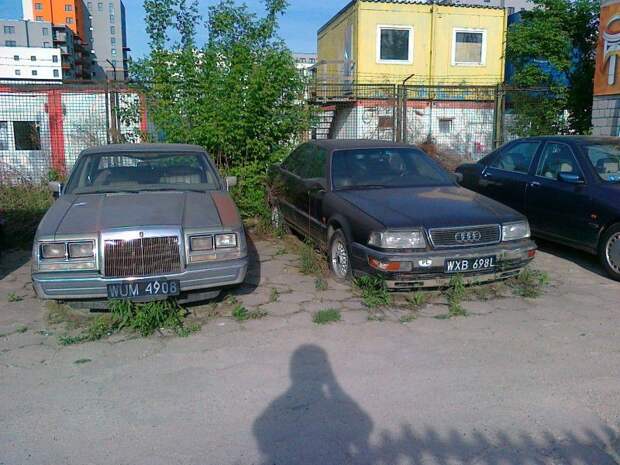 авто, автомобили, польша