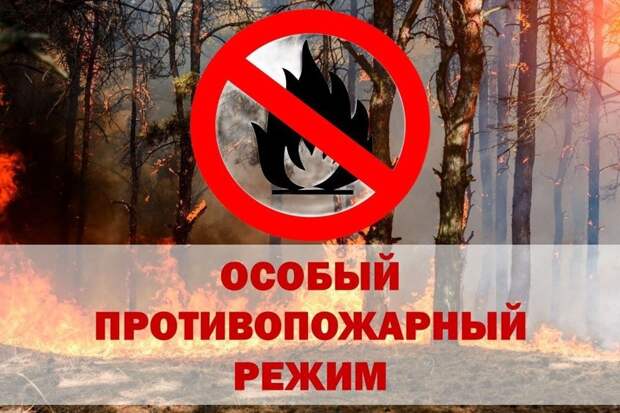 В Ржеве Тверской области введен особый противопожарный режим