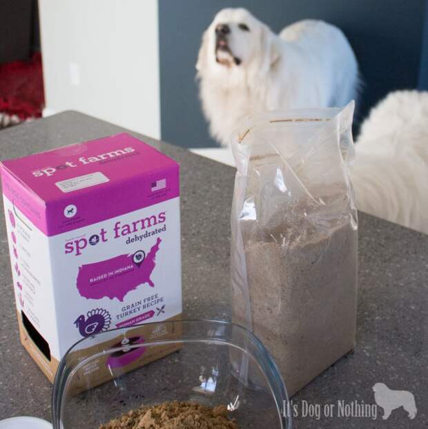 I always try and keep things interesting for the fluffies and they've been LOVING this dehydrated food from Spot Farms. I use it as a topper for my Great Pyrenees, but it is also great as a complete, balanced meal!