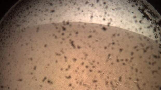 NASA обнаружило вероятные признаки жизни на Марсе 
