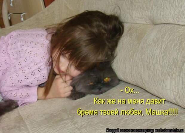 Лучшие котоматрицы недели Лучшие котоматрицы недели